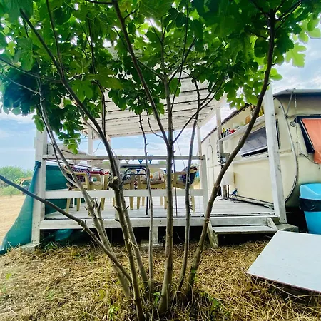 Campsite каравана в *